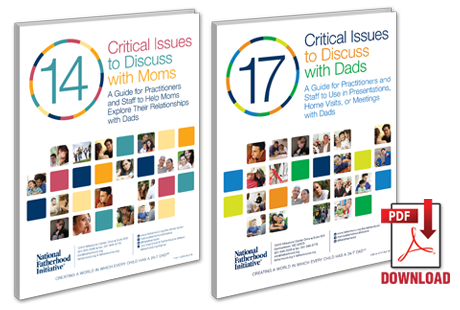 Critical_Issues_ebooks_3d_pdf.png