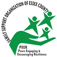 FSOEC_logo