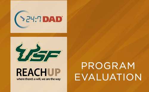 Program Evaluations