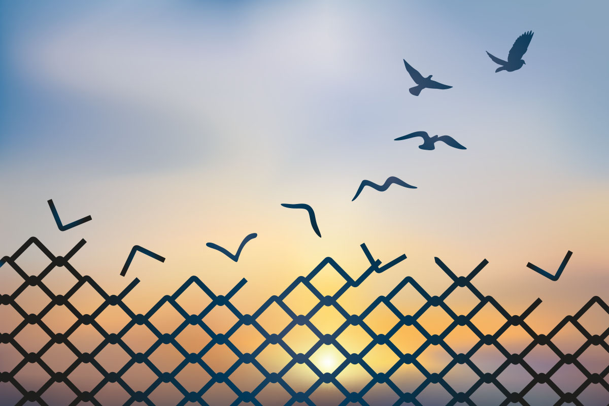 Addressing Criminogenic Needs: The Impact of NFI's InsideOut Dad® Program