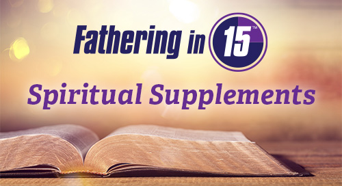 Spiritual Supplements for the Fathering in 15™ Topics